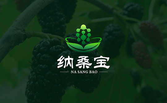 纳桑宝logo